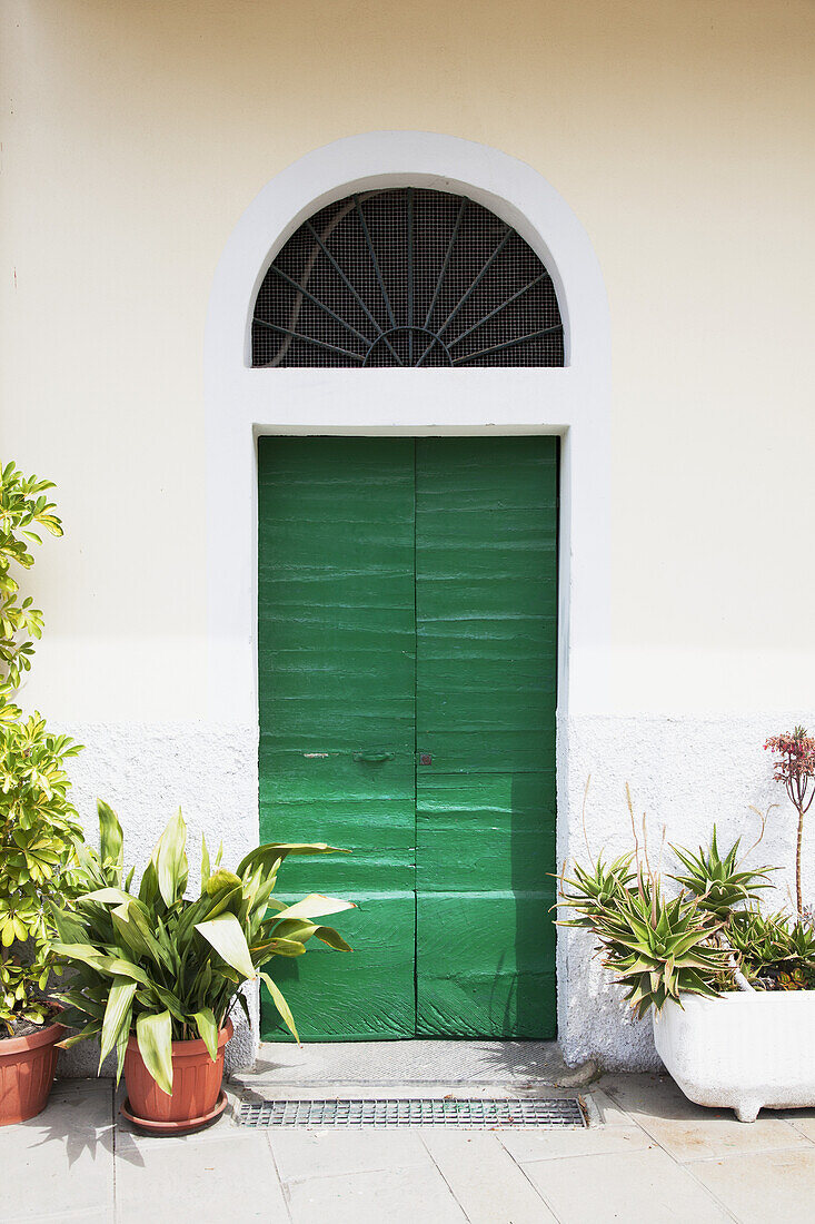 A Quaint Green Door; Riomaggiore, Liguria, Italy