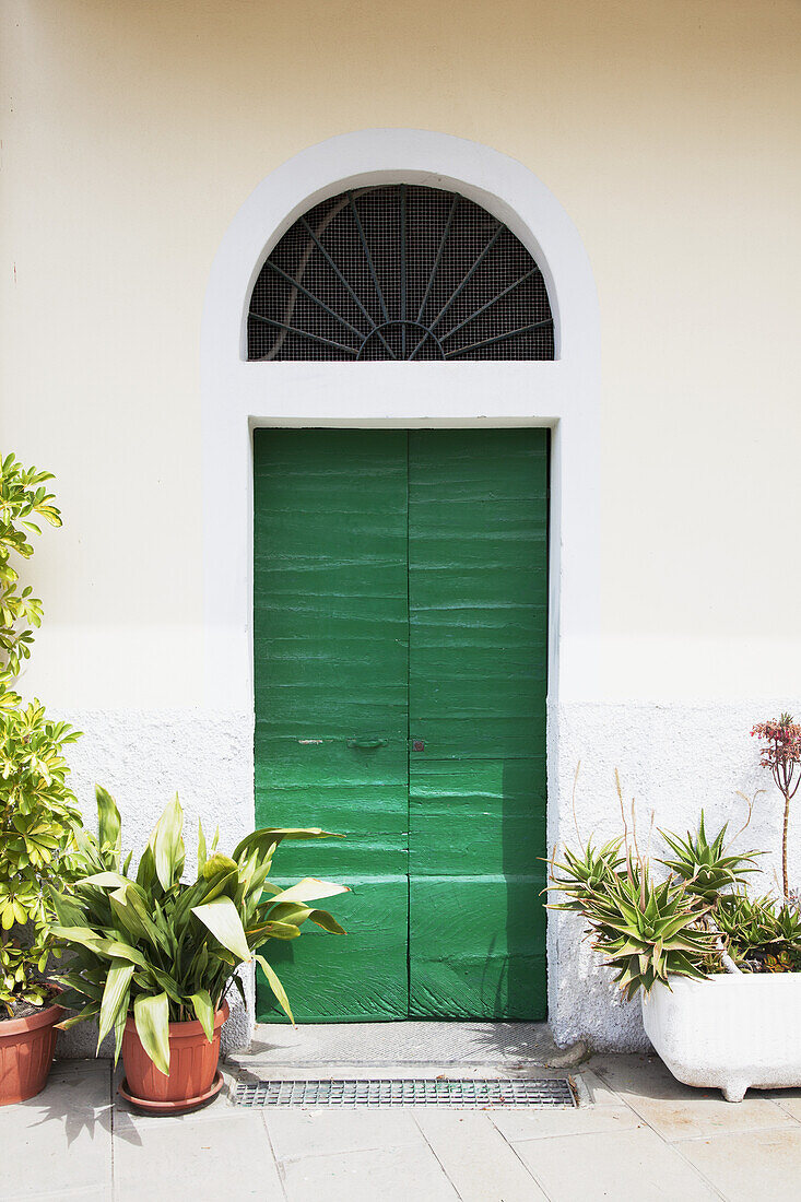 Eine urige grüne Tür; Riomaggiore, Ligurien, Italien