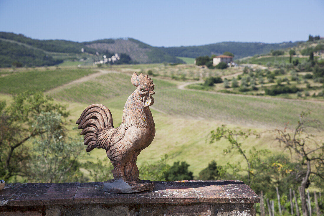 Chianti Countryside; Tuscany, Italy