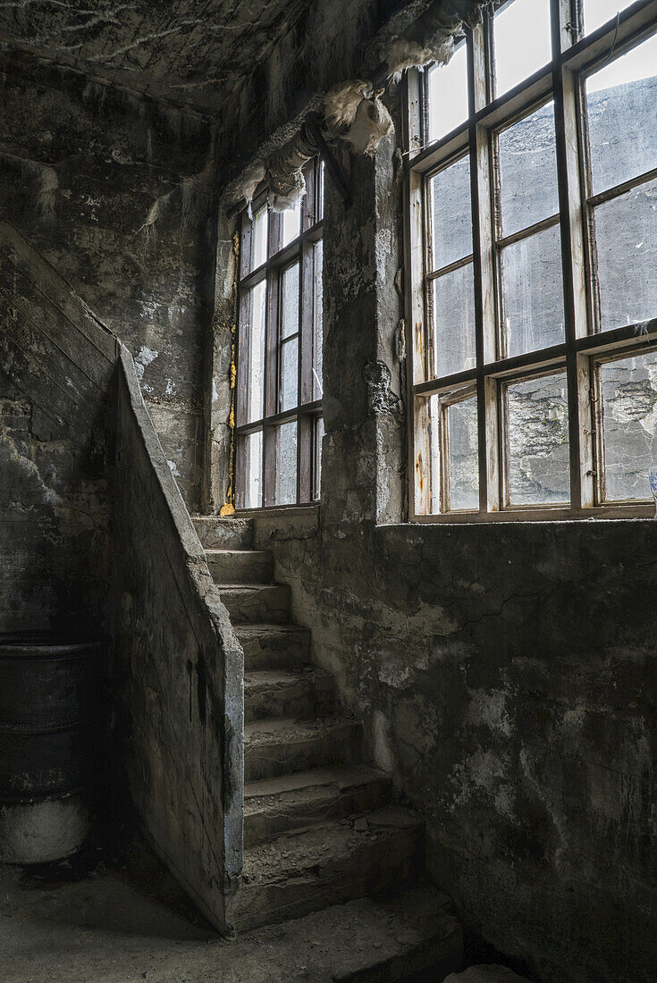 Die alte verlassene Heringsfabrik von innen; Djupavik, Island