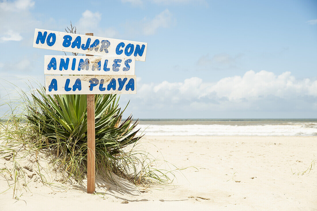 Schild, das Tiere am Strand verbietet; Valizas, Uruguay