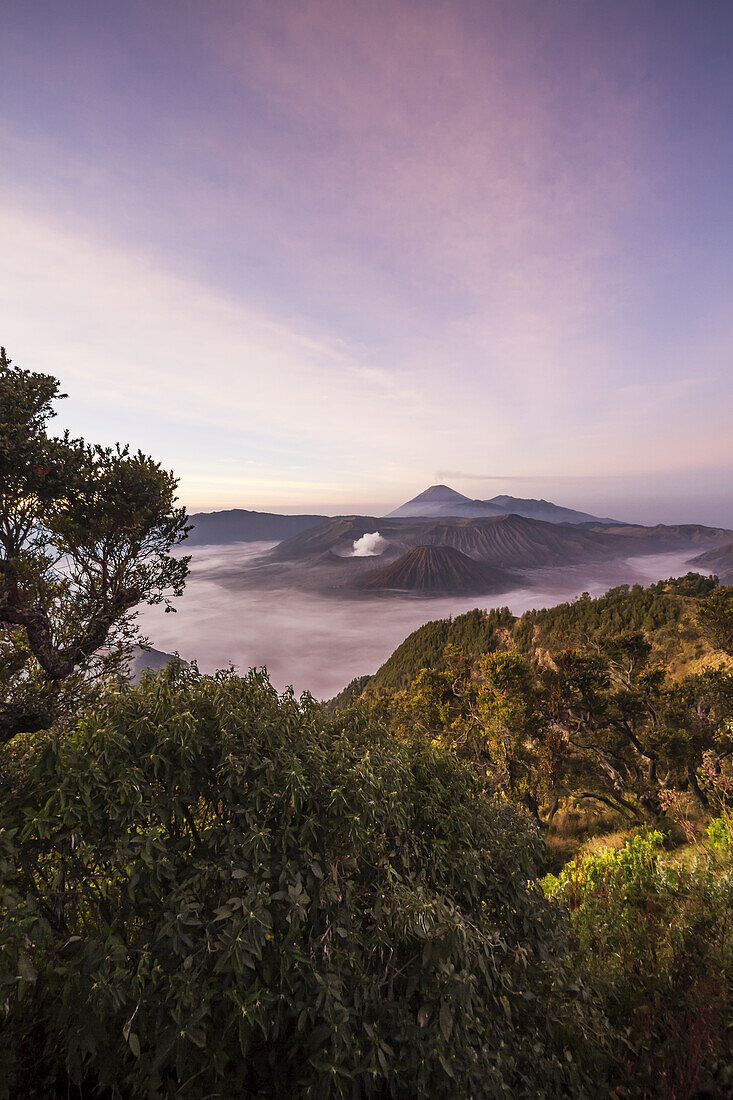 Tengger Caldera mit dem dampfenden Berg Bromo, dem Berg Batok und dem Berg Semeru im Hintergrund, gesehen vom westlichen Aussichtspunkt in der Morgendämmerung, Bromo Tengger Semeru National Park, Ost-Java, Indonesien