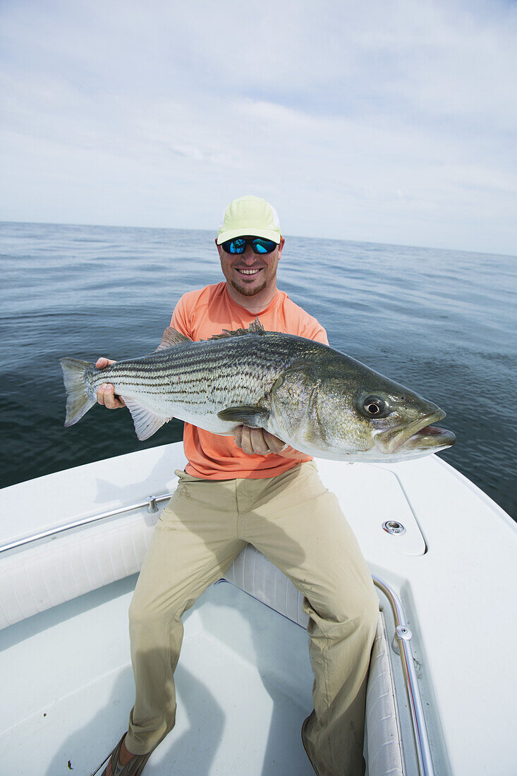 Fisherman Holding A Fresh Caught Striper Fish, Boston Harbour; Boston, Massachusetts, United States Of America