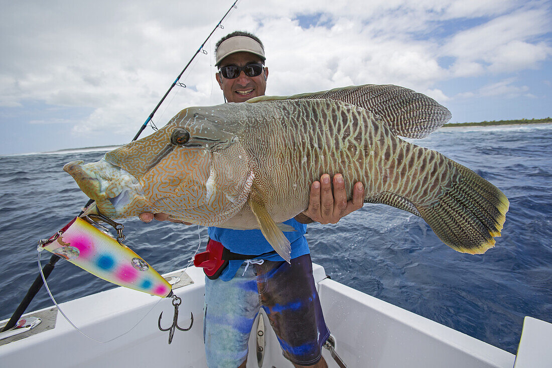 Fisherman Holding A Fresh Caught Napoleon Wrasse (Cheilinus Undulatus); Tahiti