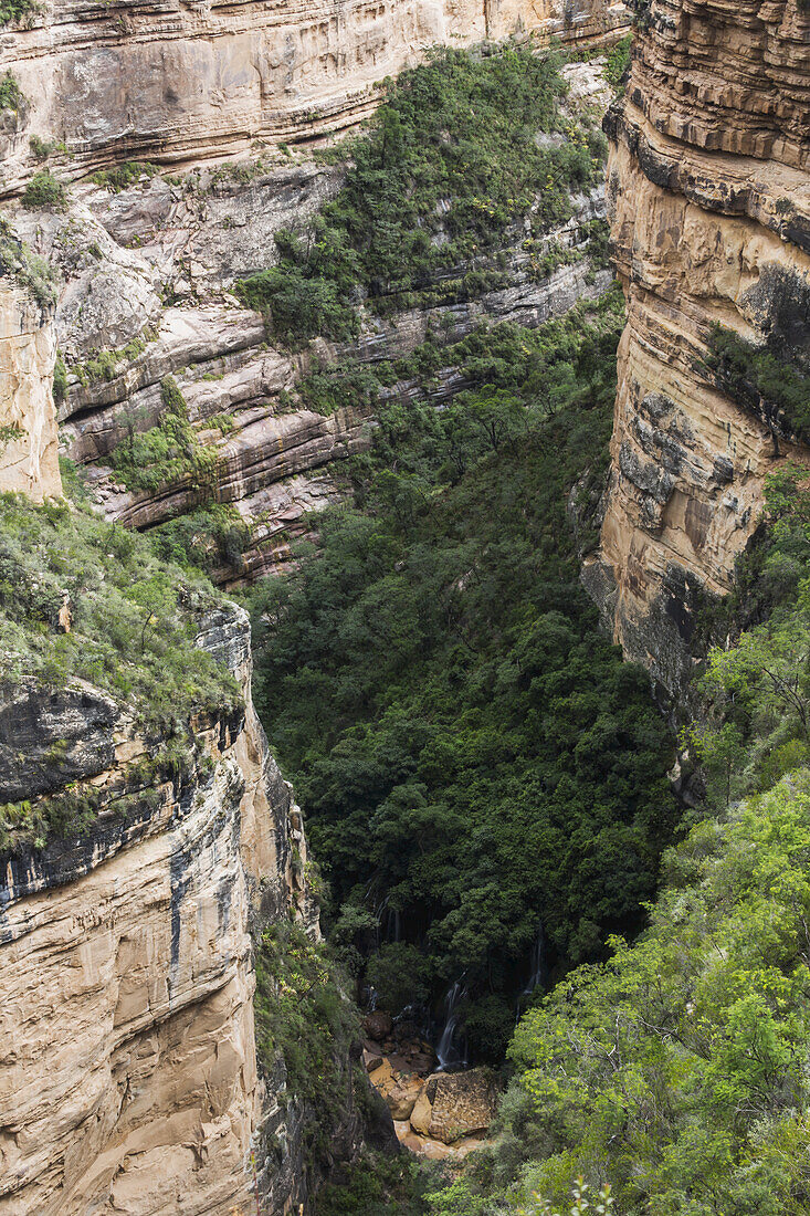 A Deep Canyon In Toro Toro National Park; Bolivia