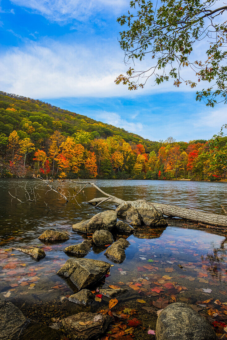 Herbstlaub am Hessian Lake, Bear Mountain State Park; Bear Mountain, New York, Vereinigte Staaten Von Amerika