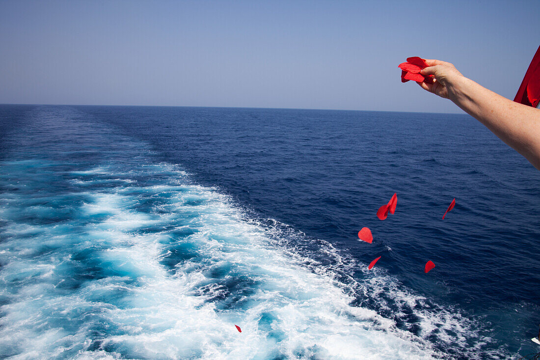 Remembrance Day Poppies, Red Sea