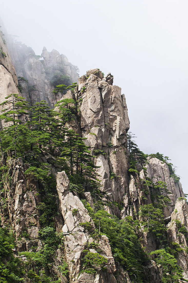 Granitgipfel mit Pinienbäumen in der Nordsee-Szenerie, Berg Huangshan, Anhui, China