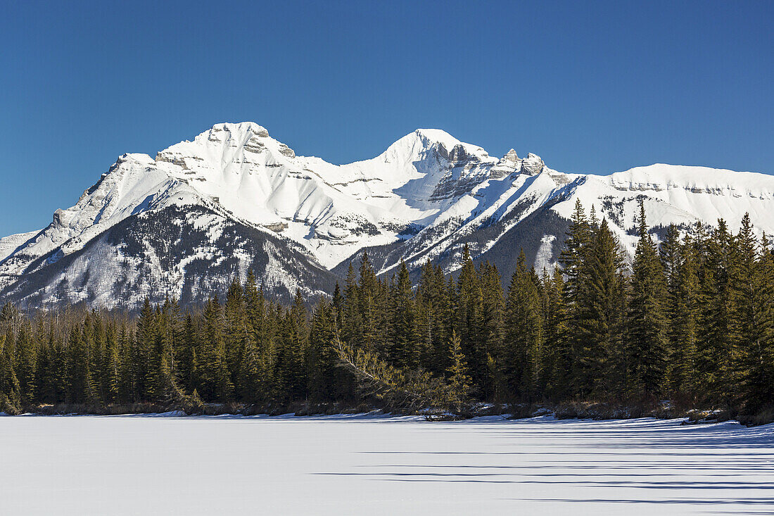 Schneebedeckte Berge mit einem schneebedeckten See, immergrünen Bäumen und blauem Himmel; Banff, Alberta, Kanada