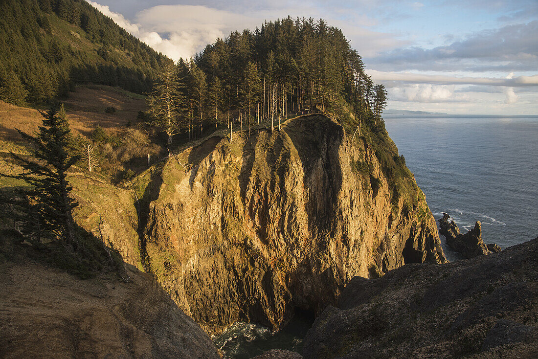 Tall Cliffs Are Found At Oswald West State Park; Manzanita, Oregon, United States Of America