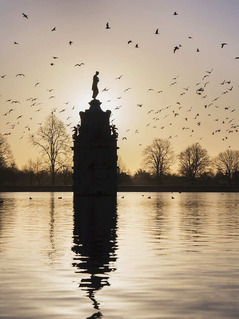 Vogelschwarm über dem Diana-Brunnen im Bushy Park bei Sonnenuntergang; London, England