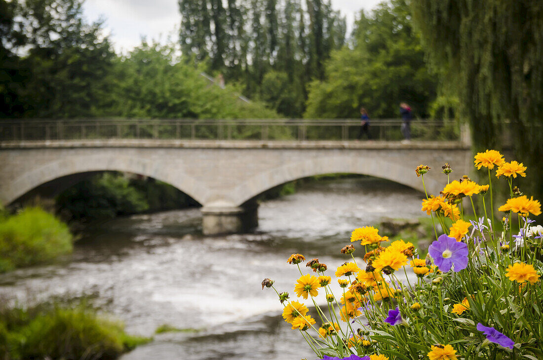 Blumen im Vordergrund, mit Menschen, die über eine Brücke im Hintergrund gehen; Limoges, Frankreich