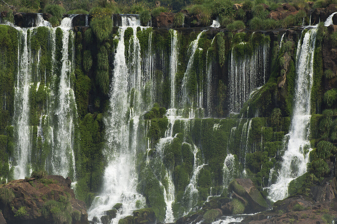 Mehrere Wasserfälle entlang einer Verwerfungslinie in tropischer Vegetation; Missiones, Argentinien
