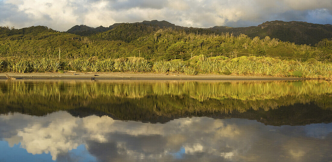Reflections On A Tidal Creek At Rapahoe Beach At Sunset; Rapahoe, New Zealand