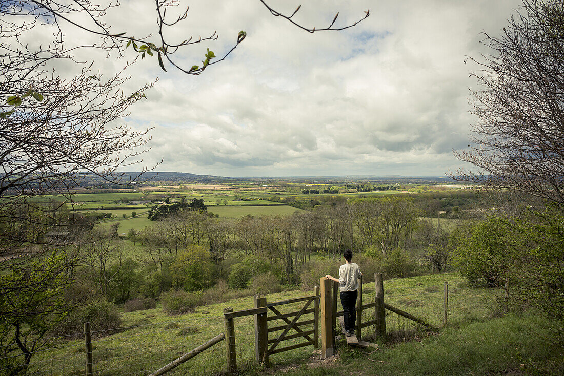 Walking In The English Countryside; Tring, Borough Of Dacorum, Hertfordshire, England