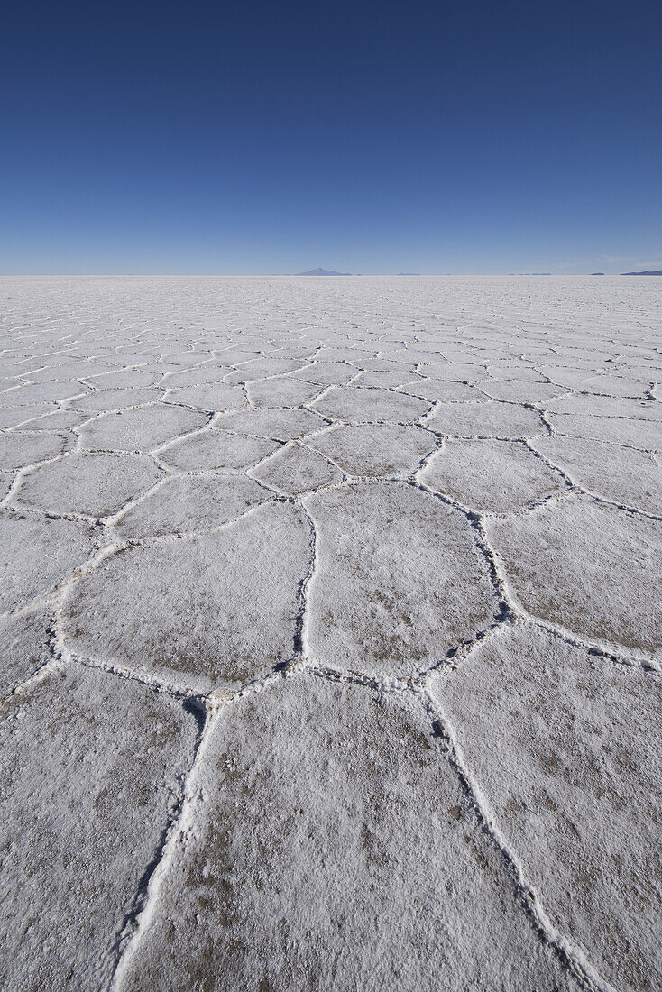 Muster in den Salzwiesen des Salar De Uyuni; Bolivien
