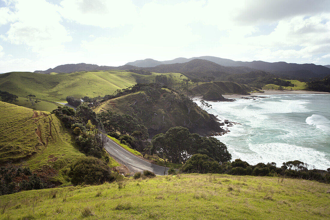 Straße an einem bergigen Küstenstreifen; Nordinsel, Neuseeland