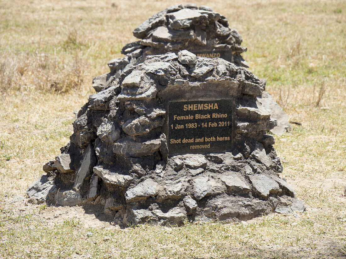 Rhino Grave, Ol Pejeta Conservancy; Kenya