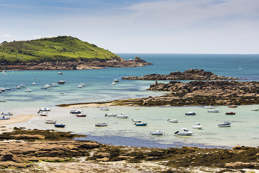 Mehrere Boote in einer felsigen Bucht bei Ebbe mit einem grasbewachsenen Hügel im Hintergrund; Trebeurden, Bretagne, Frankreich