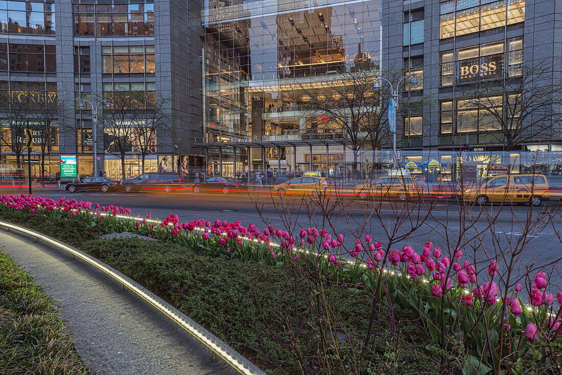 Tulip Display At Time Warner Center At Twilight, Columbus Circle; New York City, New York, Vereinigte Staaten Von Amerika