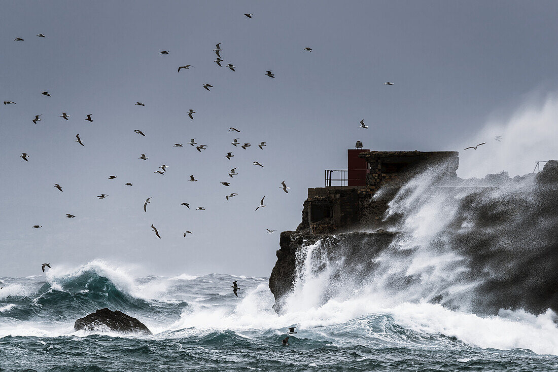 Wellen brechen gegen die zerklüftete Felsküste, während Vögel gegen den blauen Himmel fliegen; La Isla, Tarifa, Costa De La Luz, Cádiz, Andalusien, Spanien