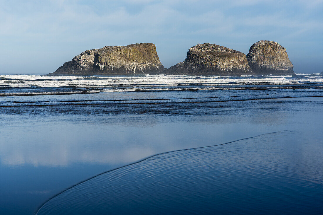 Vogelfelsen im Ecola State Park; Cannon Beach, Oregon, Vereinigte Staaten von Amerika