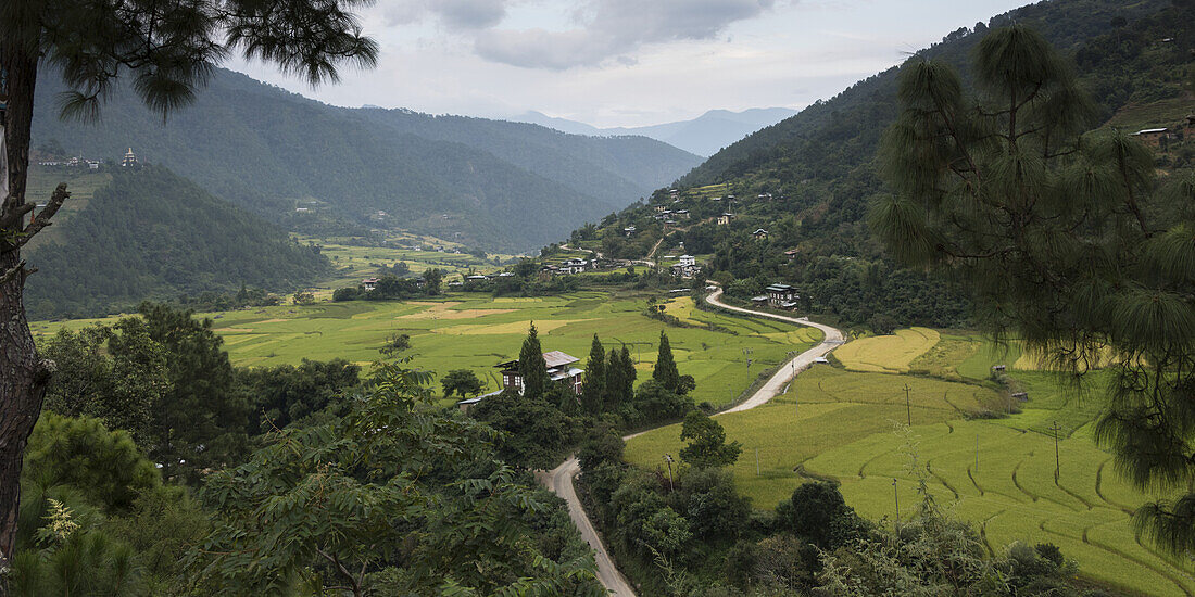 Straße, die sich durch ein üppiges, von Bergen umgebenes Tal schlängelt; Punakha, Bhutan