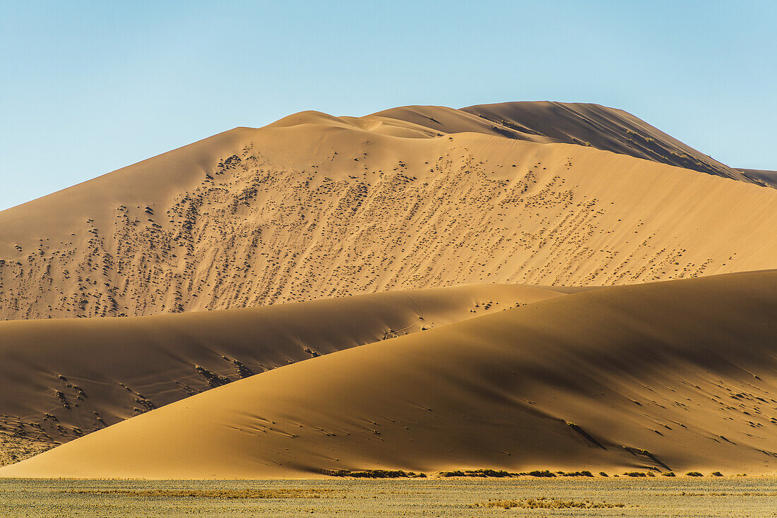 Large Desert Sand Dunes; Sossusvlei, Namibia