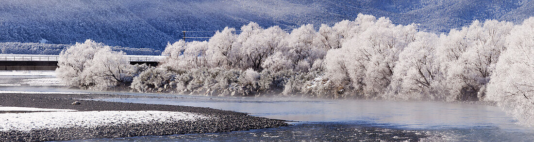 Hoar Frost On Trees By A River; Arthurs Pass, New Zealand