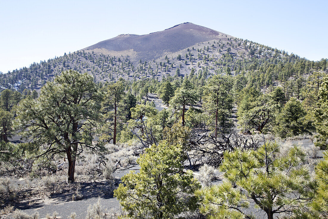 Sunset Crater Volcano; Arizona, Vereinigte Staaten Von Amerika