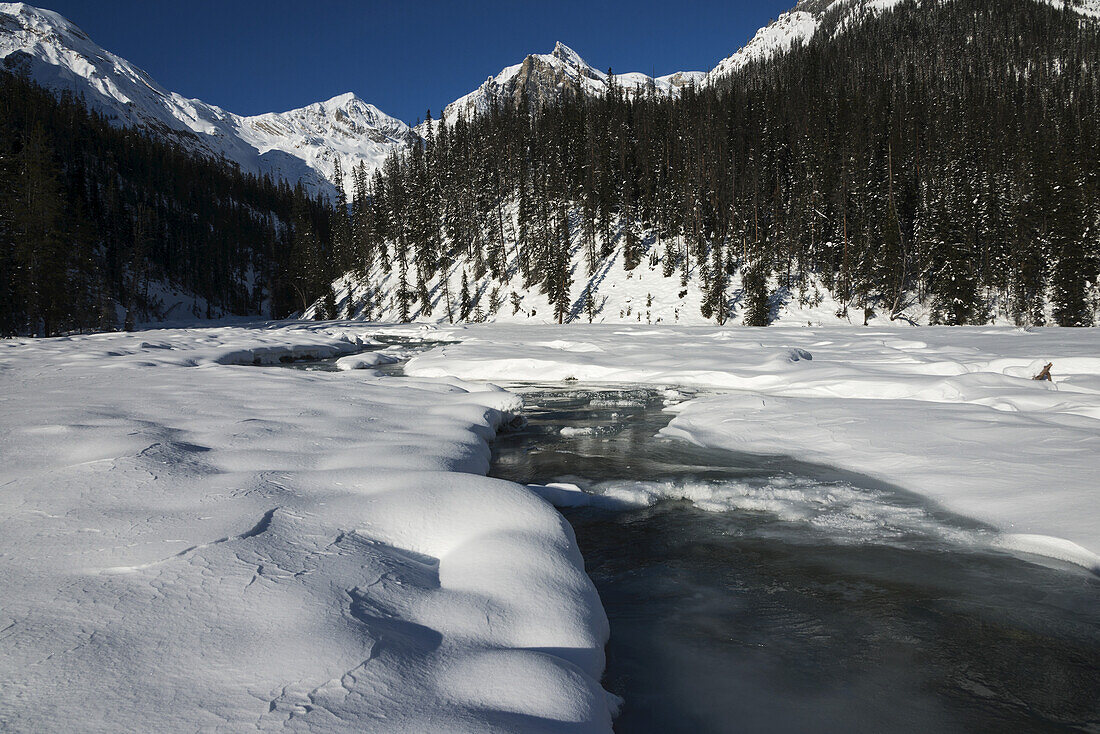 Wasser fließt unter schmelzendem Schnee und den kanadischen Rocky Mountains, Yoho-Nationalpark; Field, British Columbia, Kanada