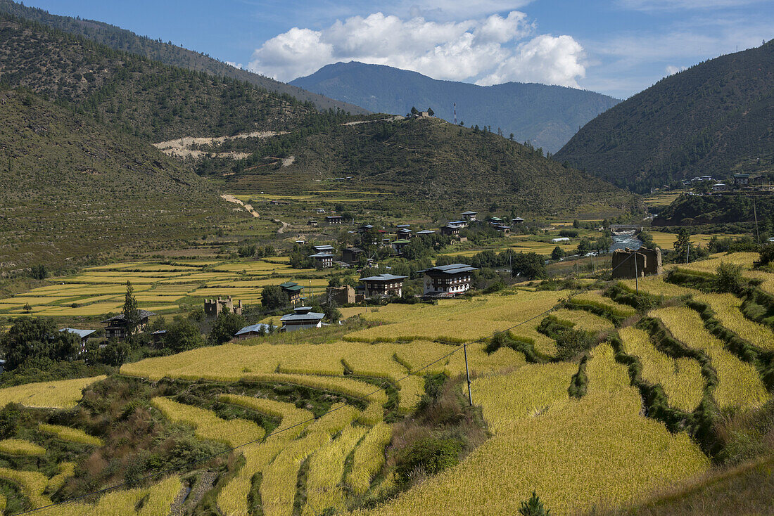 Terrassenförmiges Ackerland in einem Tal; Bhutan