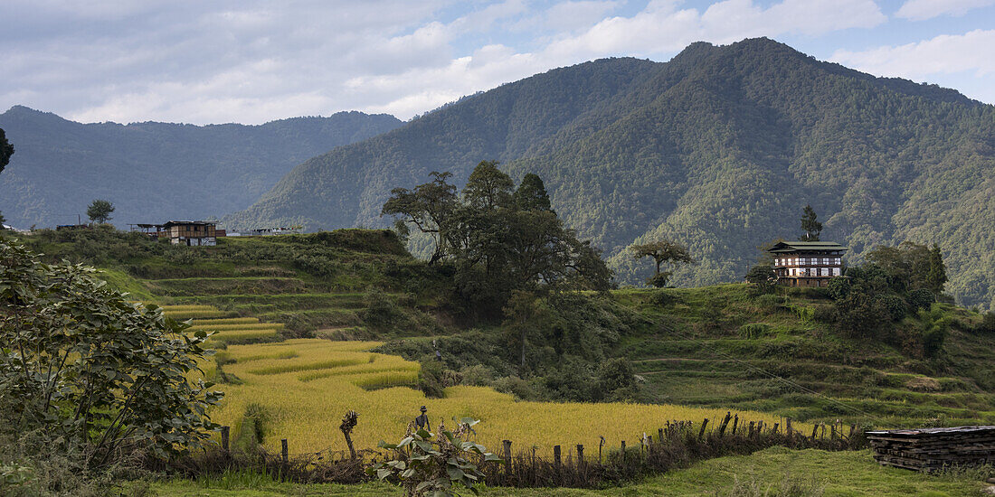 Ländliche Landschaft in einem Tal; Thimphu, Bhutan