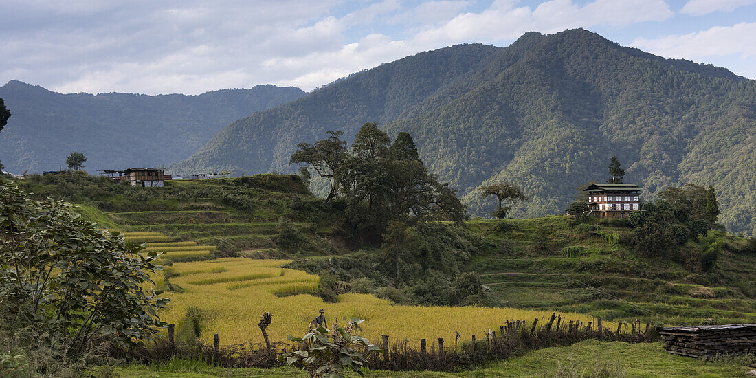 Rural Landscape In A Valley; Thimphu, Bhutan