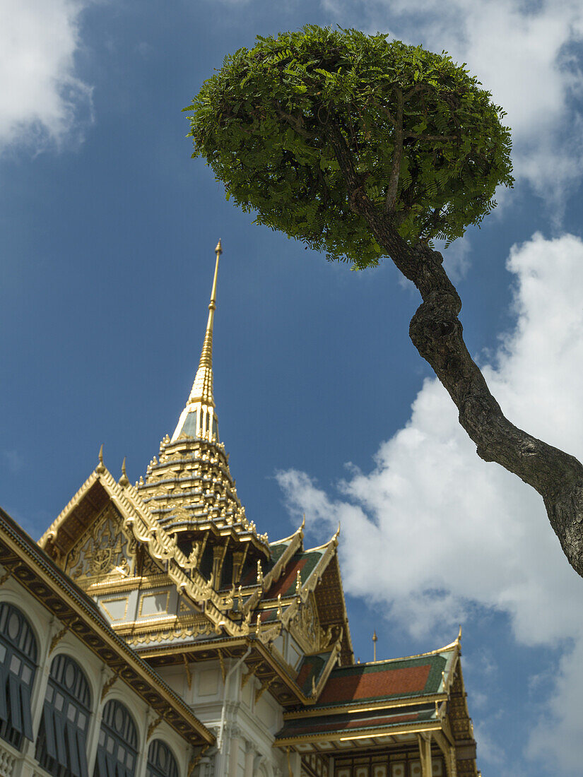 Niedriger Blickwinkel auf ein Gebäude mit goldener Spitze und Baum; Bangkok, Thailand