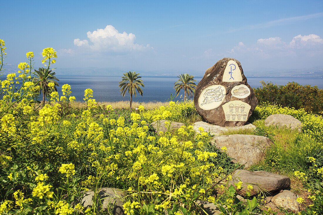 Denkmal in der Nähe des Sees von Galiläa, wo Jesus die 4000 speiste; Galiläa, Israel
