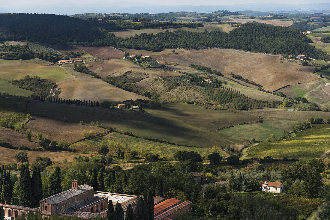 Farmland On Rolling Hills; Montepulciano, Toscana, Italy