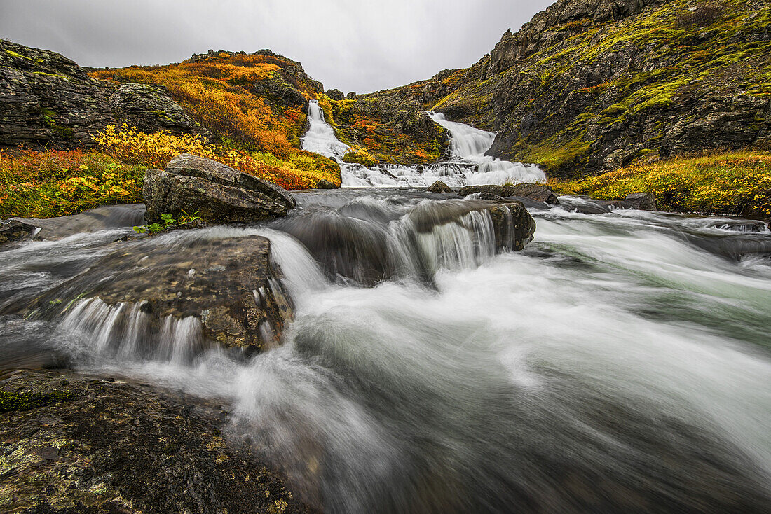 A Stream Flows Past On The West Fjords On Its Way To The Ocean; Iceland