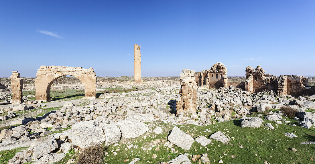 Ruinen der Großen Moschee von Harran; Harran, Türkei