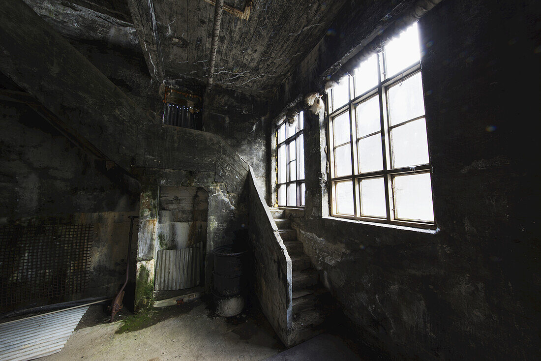 Das Innere der alten, verlassenen Heringsfabrik; Djupvik, Island