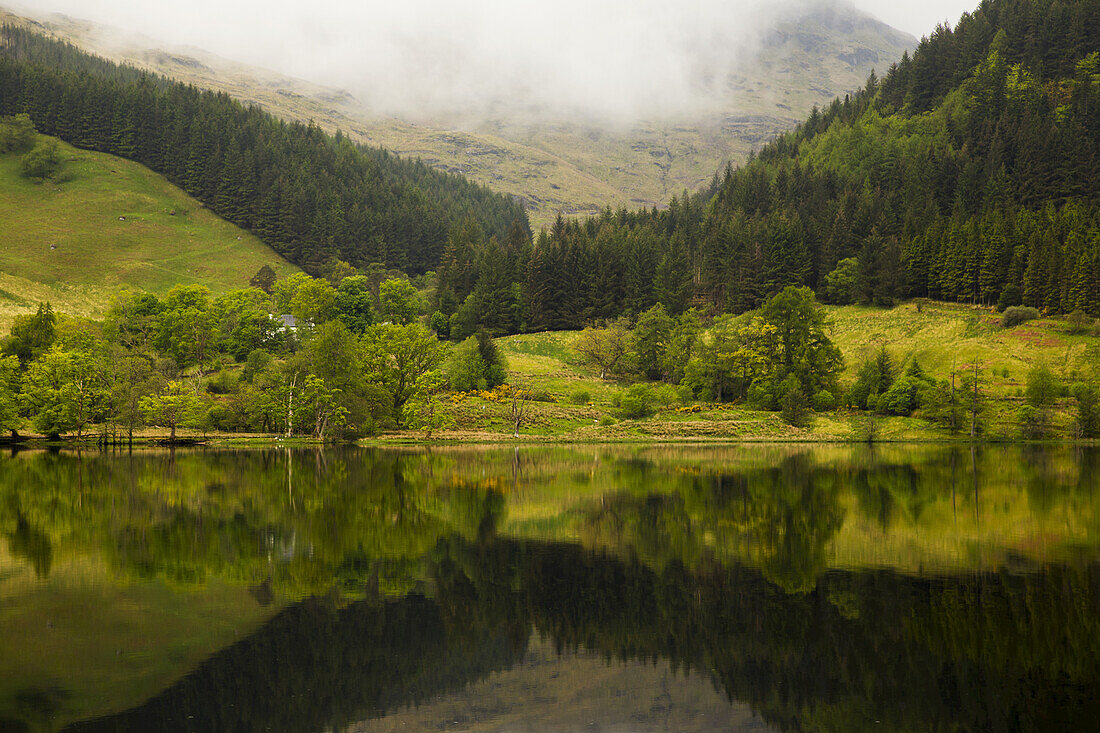 Lush Green Landscape With Grass, Trees And Low Cloud With It's Mirror Image In The Tranquil Water; Scotland