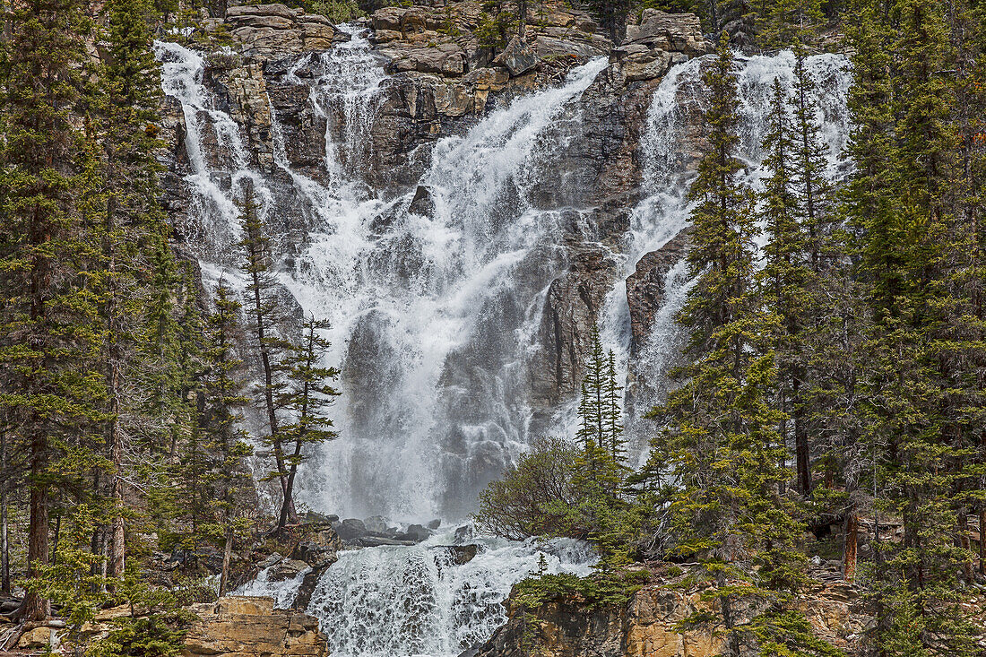 Tangle Falls, Jasper National Park; Alberta, Canada