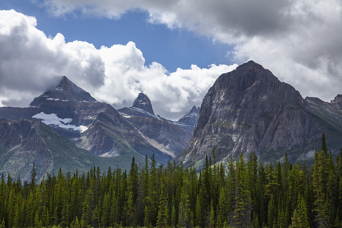 Mountain View Along The Athabasca River, Highway 93, Icefield Parkway, Jasper National Park; Alberta, Canada