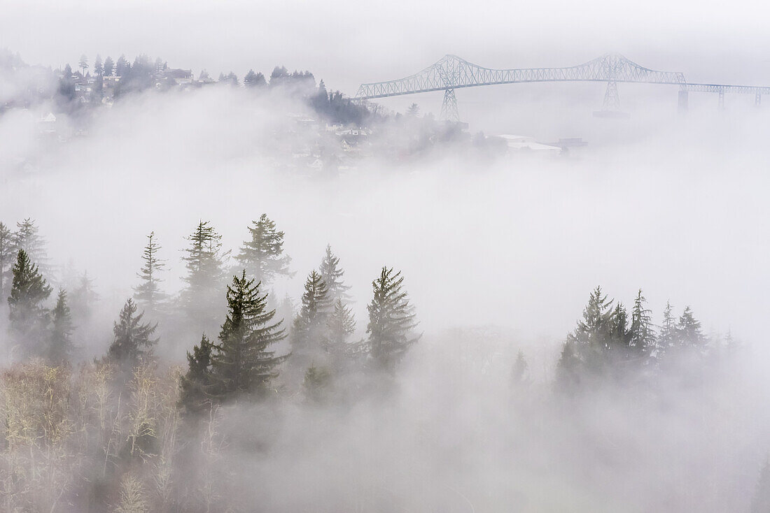 Nebel bedeckt die Hügel entlang des Columbia River; Astoria, Oregon, Vereinigte Staaten von Amerika