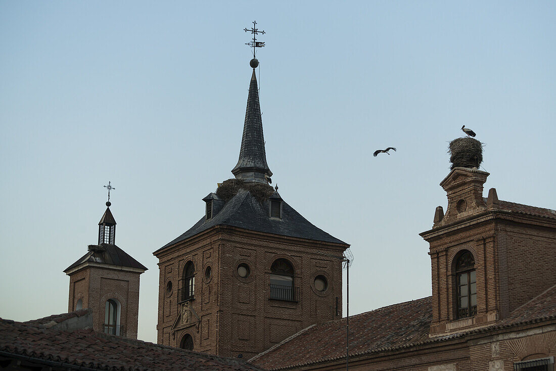 Ein Storch fliegt um den Erzbischofspalast im Stadtzentrum von Alcala De Henares, einer historischen und charmanten Stadt in der Nähe von Madrid; Alcala De Henares, Spanien