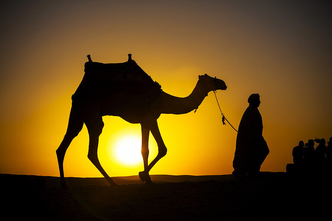 Ein ägyptischer Mann, der im Schatten der untergehenden Sonne ein Kamel durch die Wüste führt; Kairo, Ägypten
