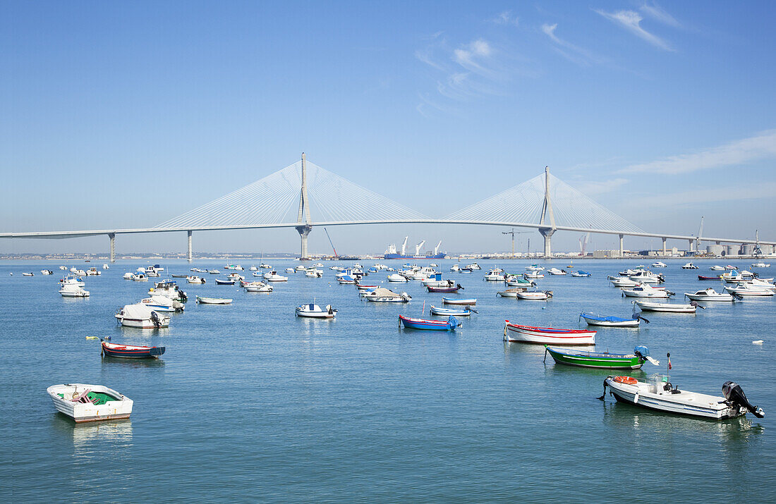 Boats Moored In A Tranquil Harbour; Cadiz De La Frontera, Andalusia, Spain