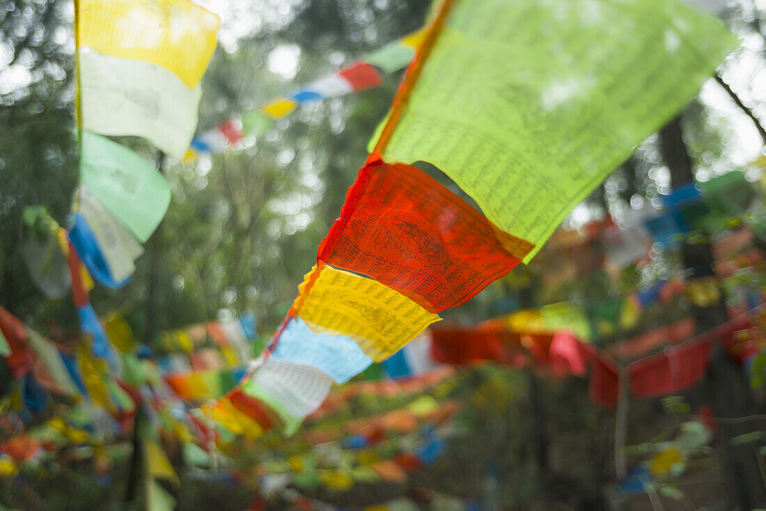 Schöne tibetische Flaggen im Wald; Xiamen, Provinz Fujian, China