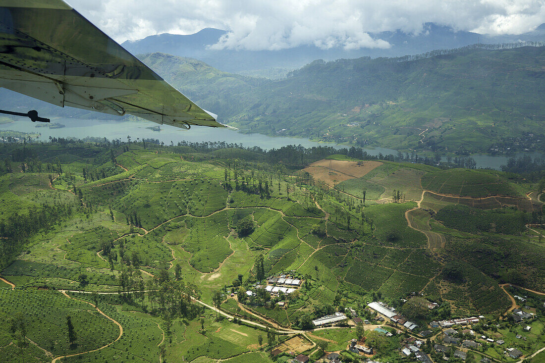 Luftaufnahme von Hügeln, Teeplantagen und See