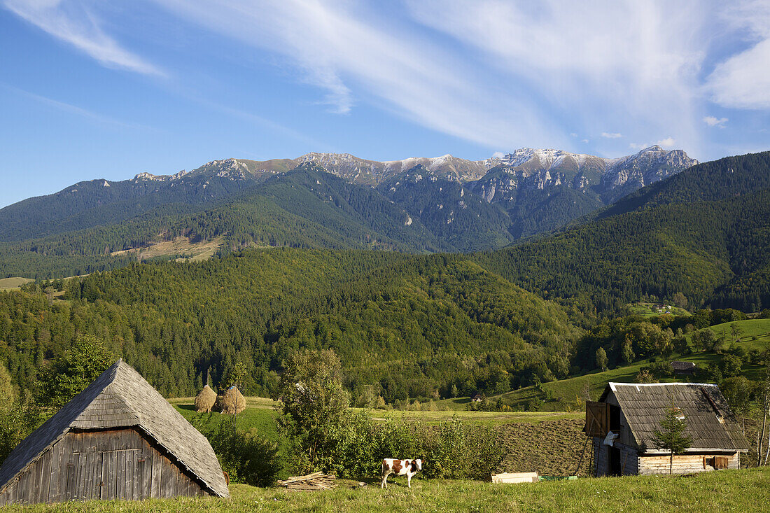 Ländliche Landschaft mit Bauernhofgebäuden in den Karpaten